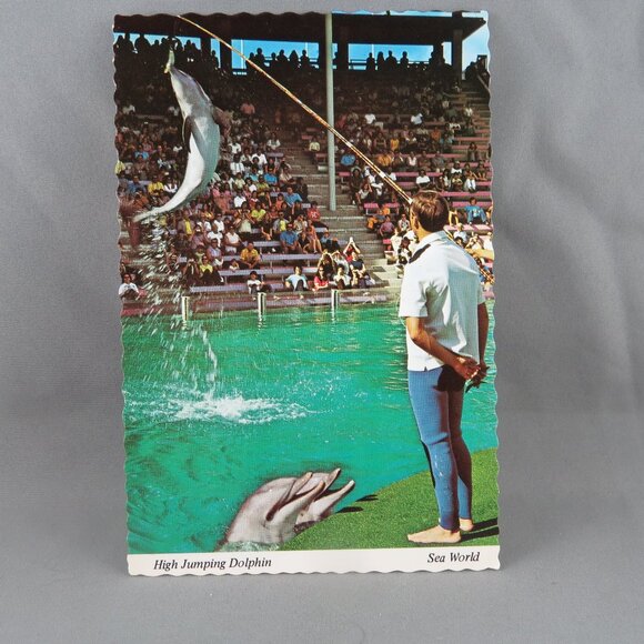 Vintage Postcard - Sea World High Jumping Dolphin - Continental Card - Picture 1 of 4